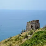 Pet-friendly *