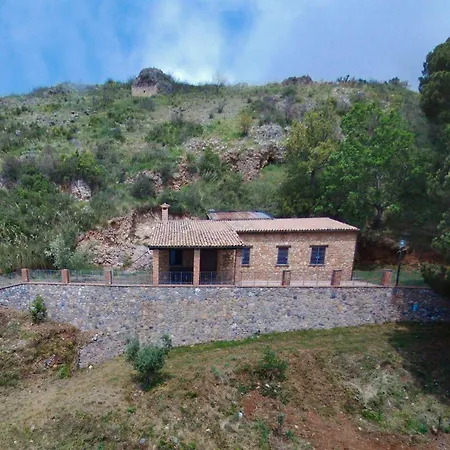 Pet-friendly 度假居